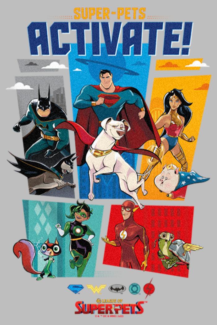 Fifth Sun Boy's DC League Of Super-Pets Activate Group Panels Pull Over Hoodie