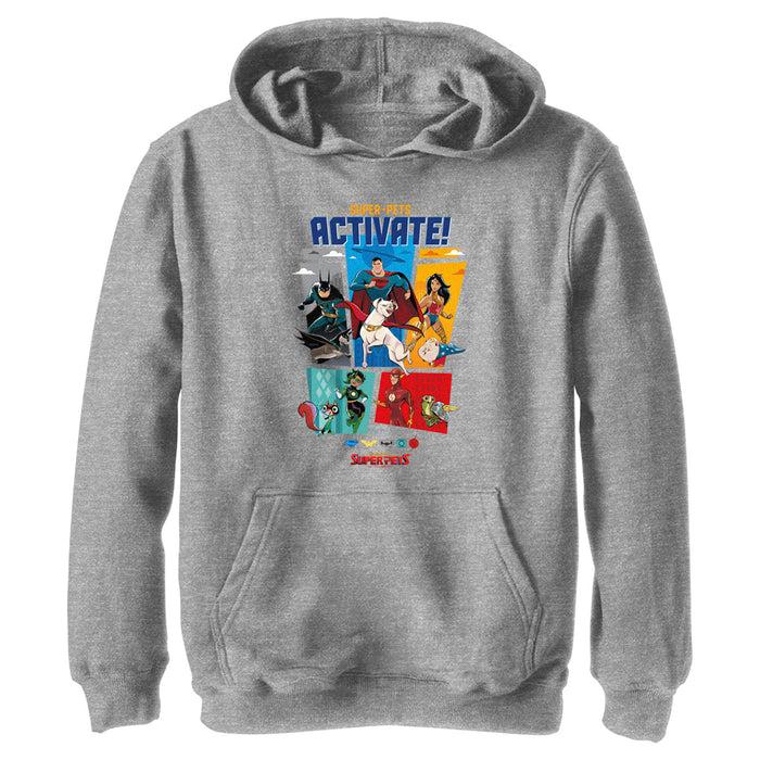 fifth sun Boy's DC League of Super-Pets Activate Group Panels Pull Over Hoodie