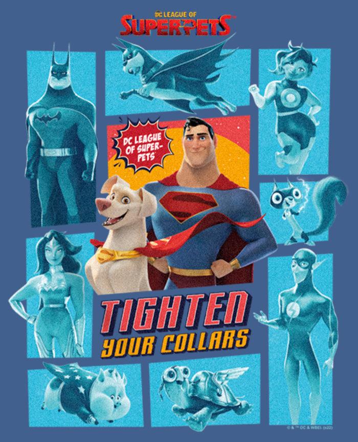 Fifth Sun Boy's DC League Of Super-Pets Tighten Your Collars Panels Pull Over Hoodie