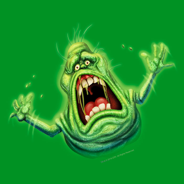 Fifth Sun Boy's Ghostbusters Cartoon Slimer T-Shirt