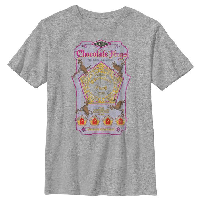 Fifth Sun Boy's Harry Potter Chocolate Frogs T-Shirt