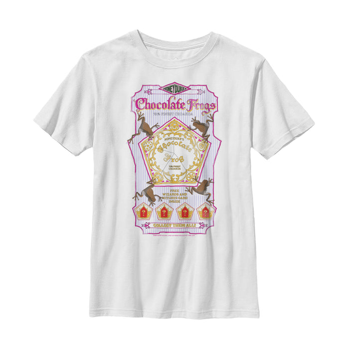 fifth sun Boy's Harry Potter Chocolate Frogs T-Shirt