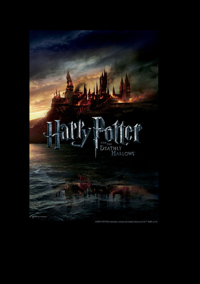Fifth Sun Boy's Harry Potter Deathly Hallows Hogwarts Poster T-Shirt