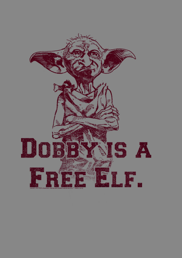 Fifth Sun Boy's Harry Potter Dobby Is A Free Elf Performance Tee