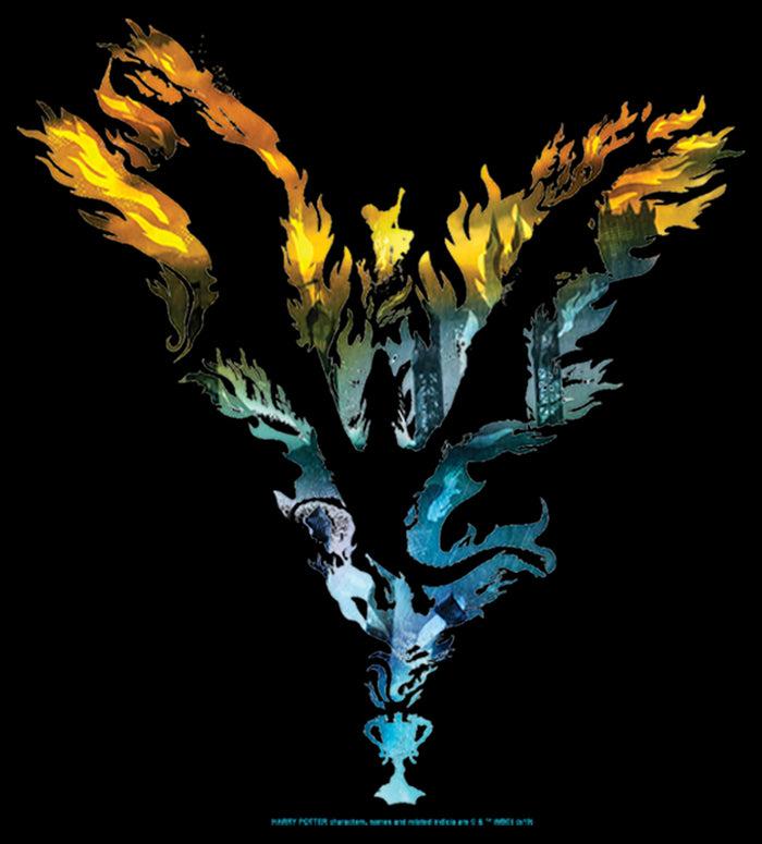 Fifth Sun Boy's Harry Potter Dragon Flame Silhouette T-Shirt