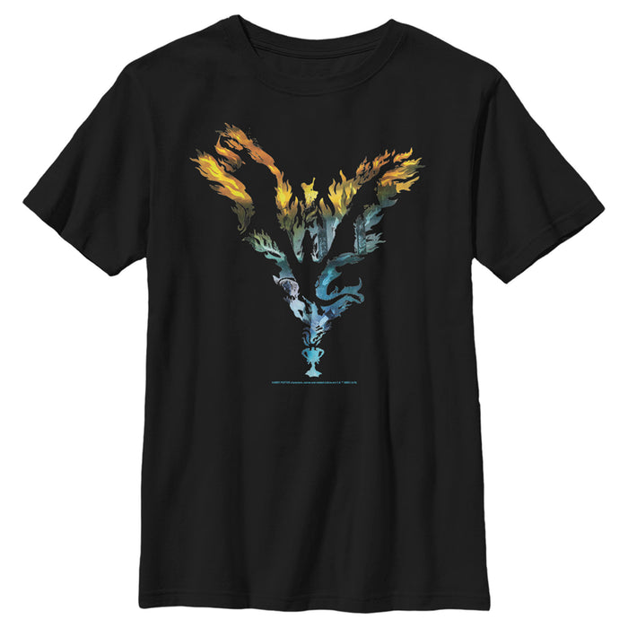 fifth sun Boy's Harry Potter Dragon Flame Silhouette T-Shirt