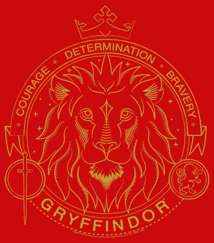 Fifth Sun Boy's Harry Potter Gryffindor Line Art Seal T-Shirt