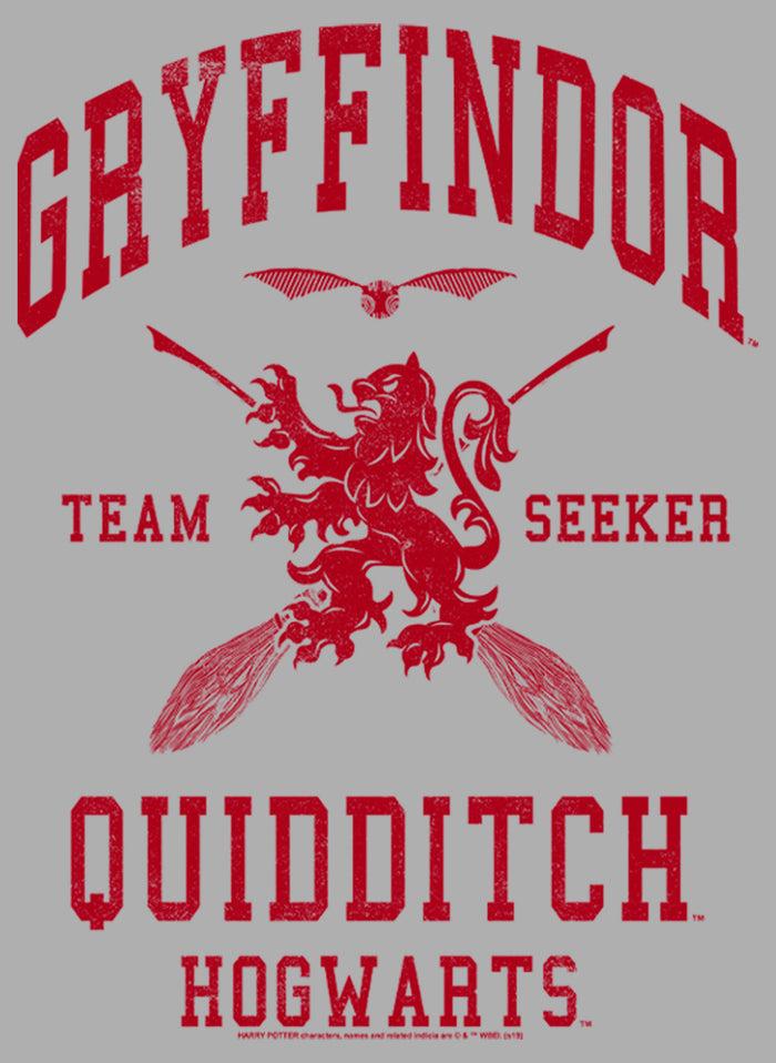 Fifth Sun Boy's Harry Potter Gryffindor Quidditch Team Seeker T-Shirt