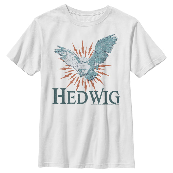 fifth sun Boy's Harry Potter Hedwig Owl Flight T-Shirt
