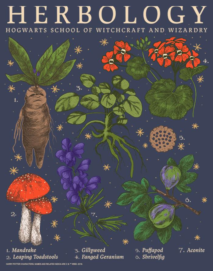 Fifth Sun Boy's Harry Potter Hogwarts Herbology T-Shirt