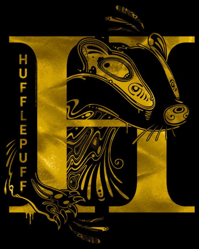 Fifth Sun Boy's Harry Potter Hufflepuff H Logo T-Shirt