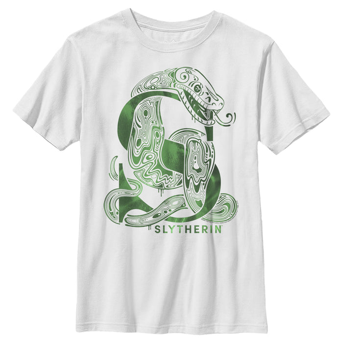 Fifth Sun Boy's Harry Potter Slytherin S Logo T-Shirt