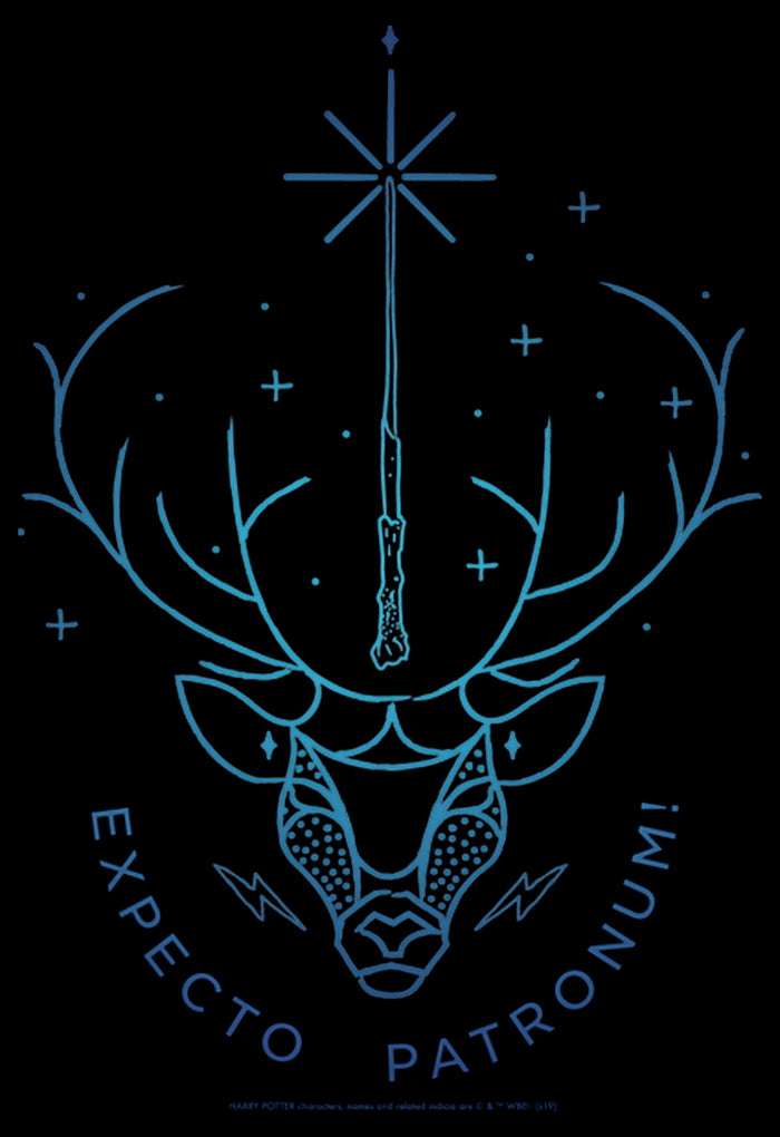 Fifth Sun Boy's Harry Potter Stag Patronus Line Art T-Shirt