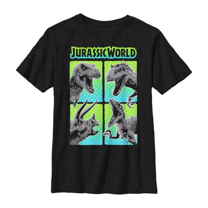 fifth sun Boy's Jurassic World Dinosaur Panel Battle T-Shirt