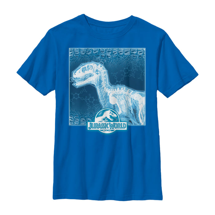 fifth sun Boy's Jurassic World Dinosaur X-Ray Photo T-Shirt