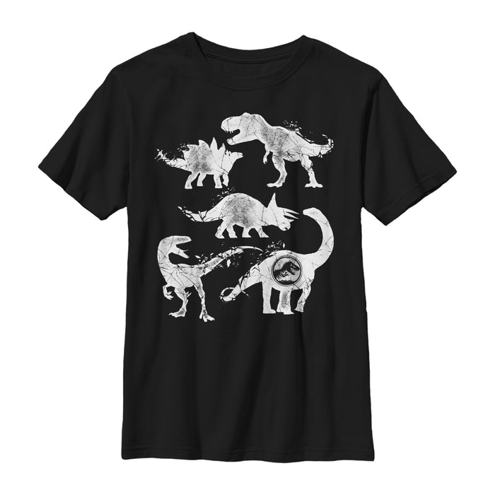 fifth sun Boy's Jurassic World: Fallen Kingdom Cracked Dinosaurs T-Shirt