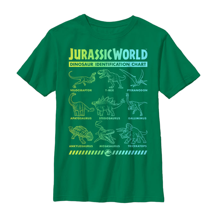 fifth sun Boy's Jurassic World: Fallen Kingdom Dinosaur Identification Card T-Shirt