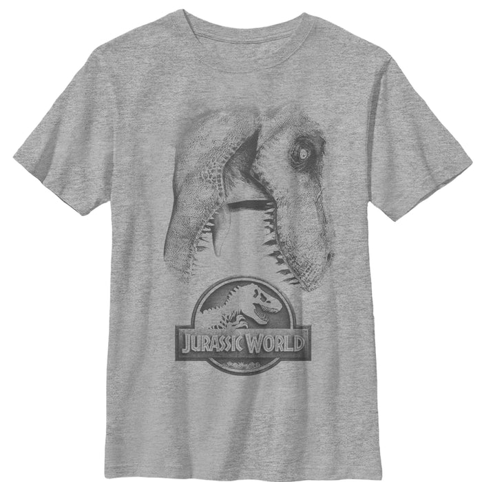 fifth sun Boy's Jurassic World: Fallen Kingdom T. Rex Bite T-Shirt
