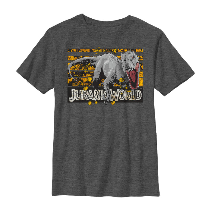 fifth sun Boy's Jurassic World Rock Grid Dinosaur T-Shirt