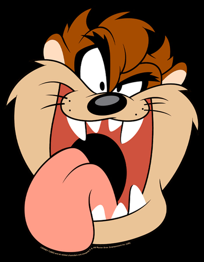 Fifth Sun Boy's Looney Tunes Tasmanian Devil Big Face T-Shirt