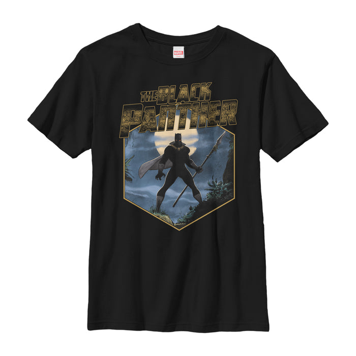 fifth sun Boy's Marvel Black Panther Hexagon T-Shirt
