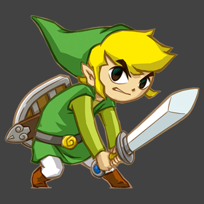 Fifth Sun Boy's Nintendo Legend Of Zelda Spirit Tracks Link T-Shirt