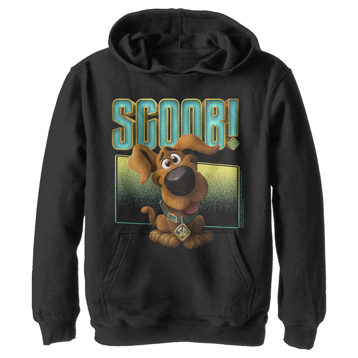 Fifth Sun Boy's Scooby Doo Puppy Frame Pull Over Hoodie