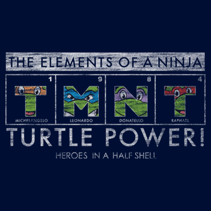Fifth Sun Boy's Teenage Mutant Ninja Turtles Distressed The Elements Of A Ninja T-Shirt