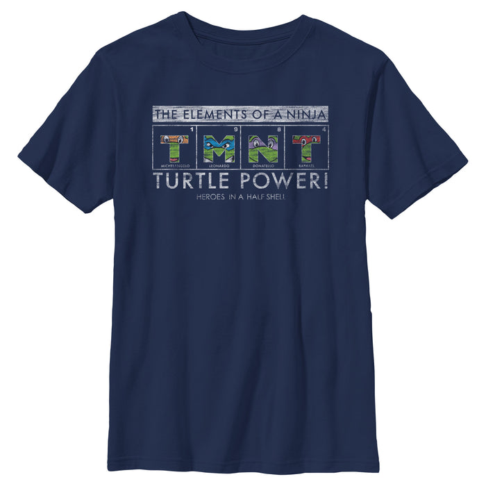fifth sun Boy's Teenage Mutant Ninja Turtles Distressed The Elements of a Ninja T-Shirt