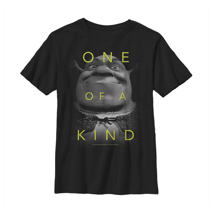 fifth sun Boy's Shrek One of a Kind T-Shirt