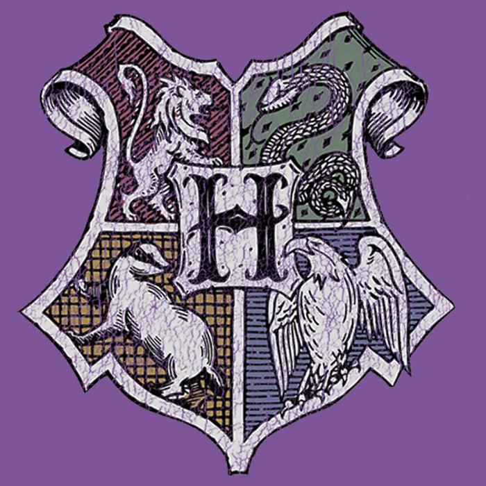 Fifth Sun Girl's Harry Potter Hogwarts House Mascot Crest T-Shirt