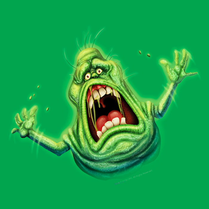 Fifth Sun Junior's Ghostbusters Cartoon Slimer T-Shirt