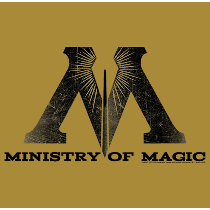 Fifth Sun Junior's Harry Potter Ministry Of Magic Logo Festival Muscle Tee