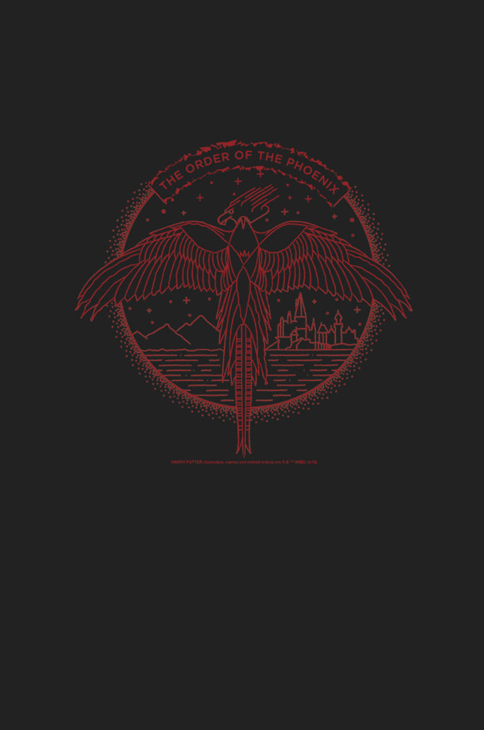 Fifth Sun Junior's Harry Potter Order Of Phoenix Flight Festival Muscle Tee