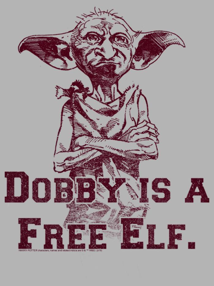 Fifth Sun Men's Harry Potter Dobby Is A Free Elf Pull Over Hoodie