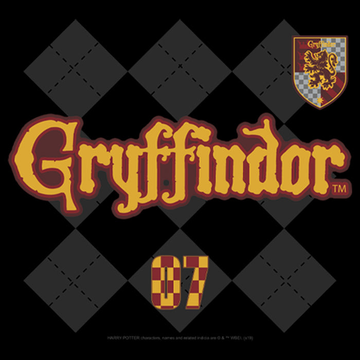 Fifth Sun Men's Harry Potter Gryffindor Argyle Print Pull Over Hoodie