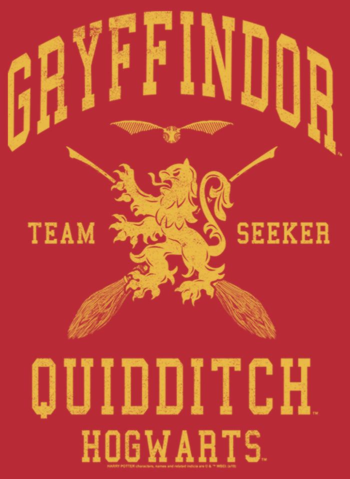 Fifth Sun Men's Harry Potter Gryffindor Quidditch Gold Team Seeker Pull Over Hoodie