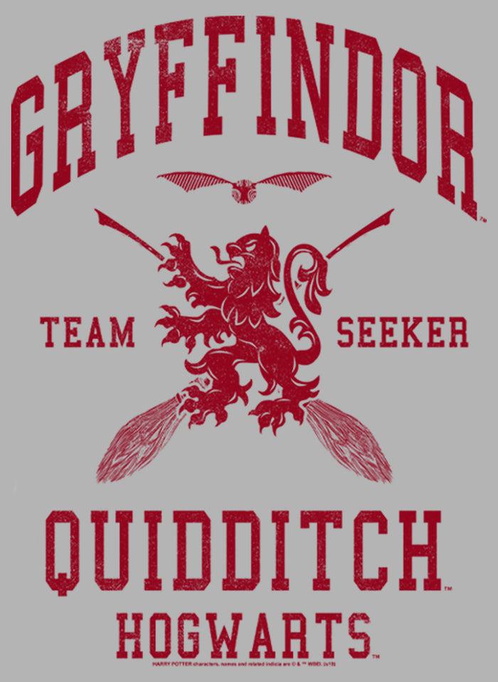 Fifth Sun Men's Harry Potter Gryffindor Quidditch Team Seeker Pull Over Hoodie