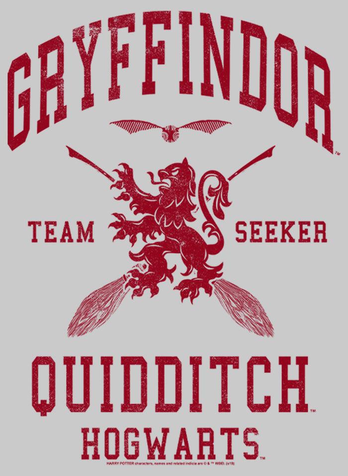 Fifth Sun Men's Harry Potter Gryffindor Quidditch Team Seeker Sweatshirt