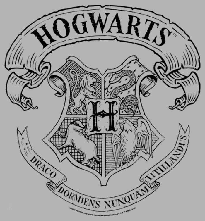 Fifth Sun Men's Harry Potter Hogwarts 4 House Crest Pull Over Hoodie