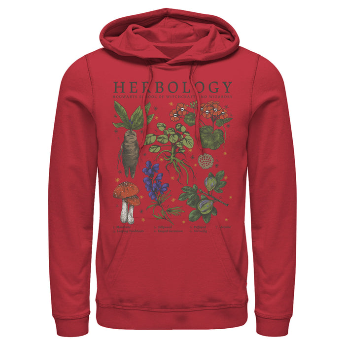 Fifth Sun Men's Harry Potter Hogwarts Herbology Pull Over Hoodie