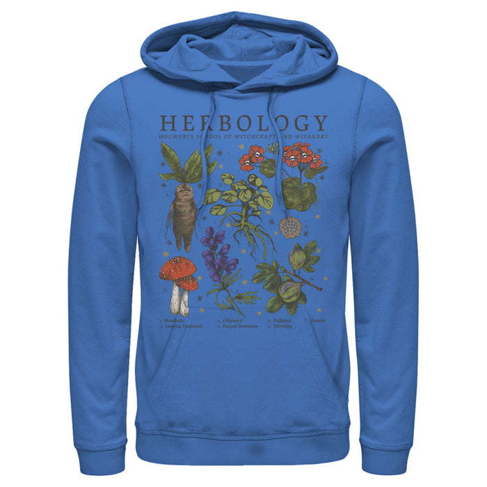 Fifth Sun Men's Harry Potter Hogwarts Herbology Pull Over Hoodie