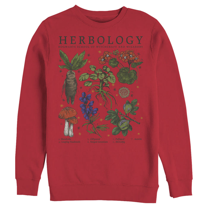 Fifth Sun Men's Harry Potter Hogwarts Herbology Sweatshirt