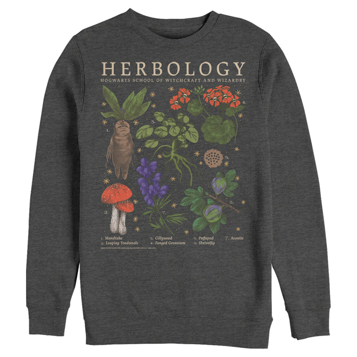 Fifth Sun Men's Harry Potter Hogwarts Herbology Sweatshirt