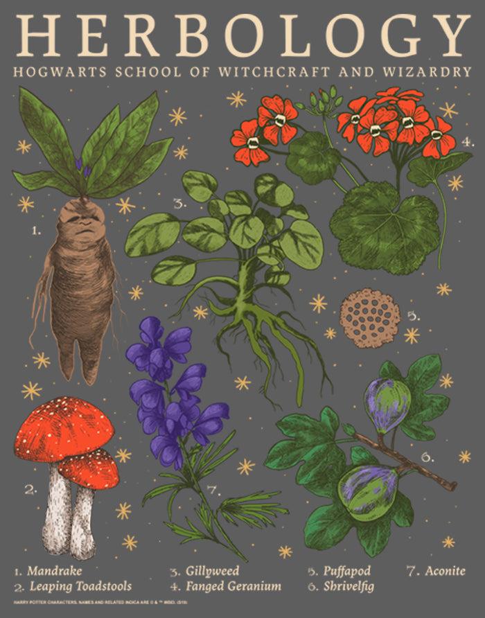 Fifth Sun Men's Harry Potter Hogwarts Herbology Tank Top