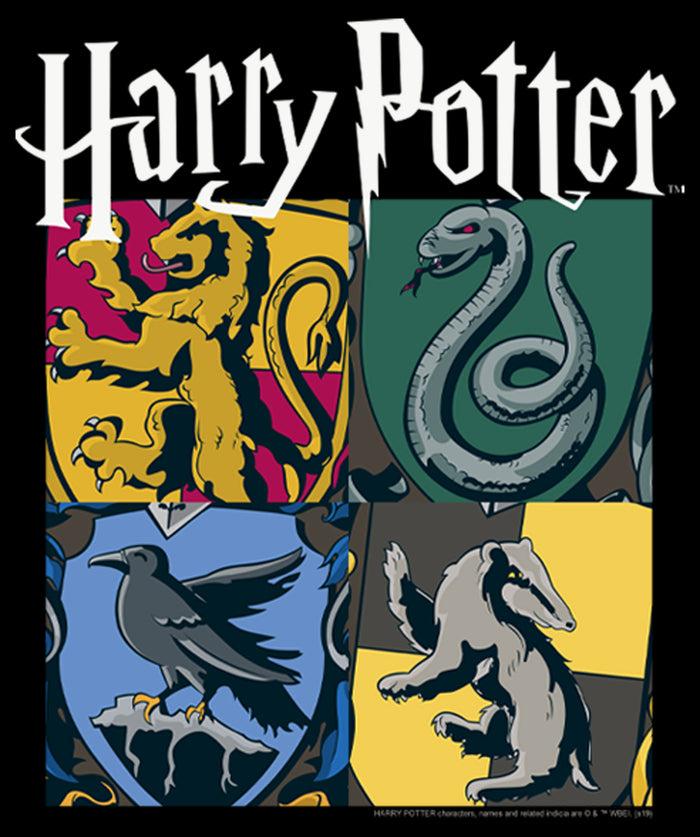 Fifth Sun Men's Harry Potter Hogwarts Houses Vintage Collage Pull Over Hoodie