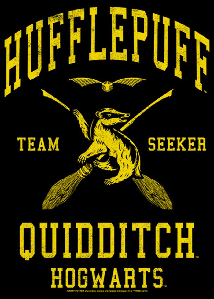 Fifth Sun Men's Harry Potter Hufflepuff Quidditch Seeker Pull Over Hoodie