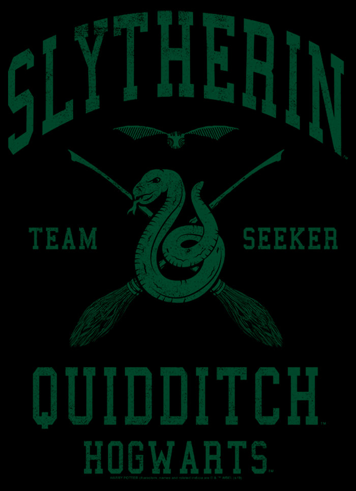 Fifth Sun Men's Harry Potter Slytherin Quidditch Team Seeker T-Shirt