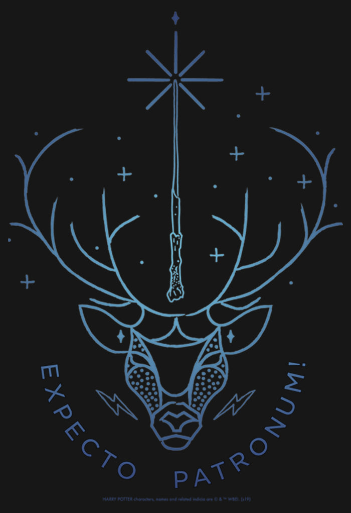 Fifth Sun Men's Harry Potter Stag Patronus Line Art Long Sleeve Shirt