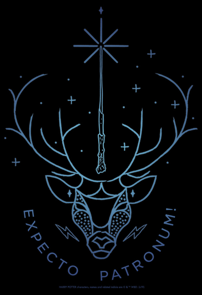 Fifth Sun Men's Harry Potter Stag Patronus Line Art Pull Over Hoodie